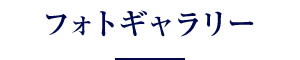 フォトギャラリー