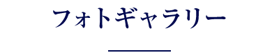 フォトギャラリー